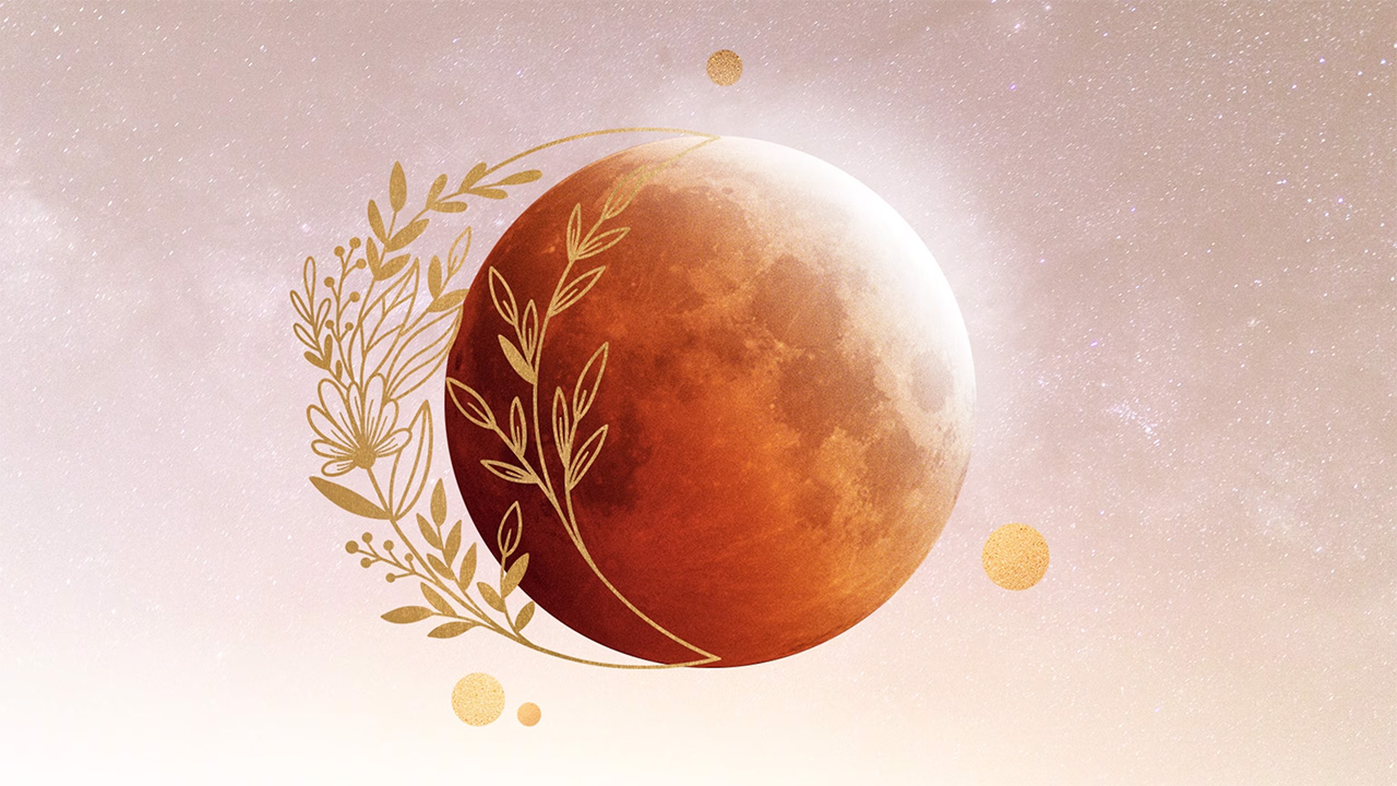 The full moon was dubbed "Flower Moon" because flowers spring forth across North America in abundance around this time.